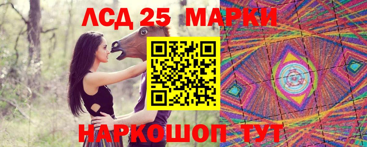 Курчалой  Марки N-bome 1500мкг  Марки N-bome 1500мкг  Вход с VPN 