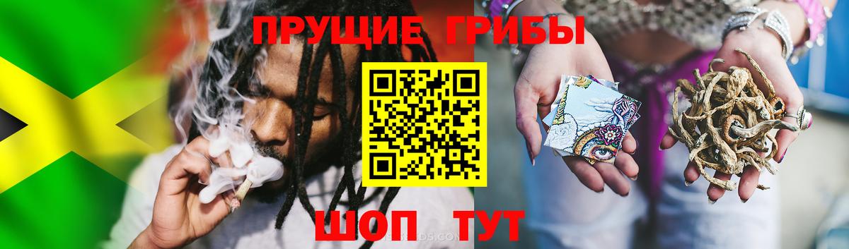Псилоцибиновые грибы прущие грибы Курчалой