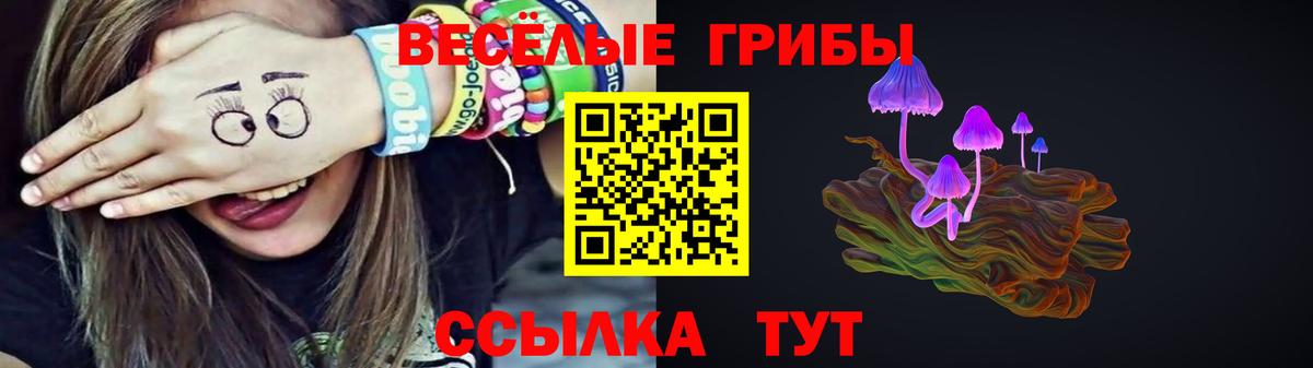 Галлюциногенные грибы Cubensis  Вход с VPN  Курчалой 